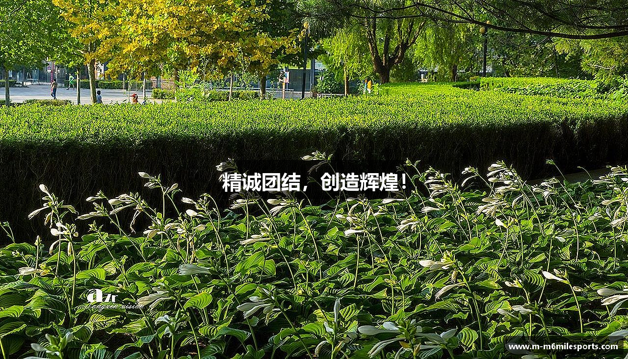 精诚团结，创造辉煌！
